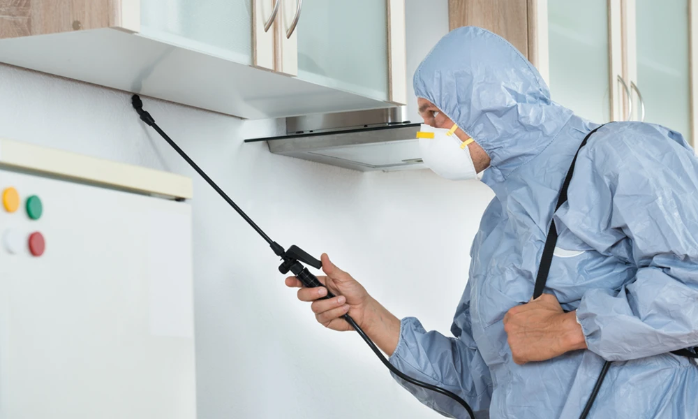 Side view of exterminator in workwear spraying pesticide in kitchen