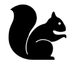 squirrel icon