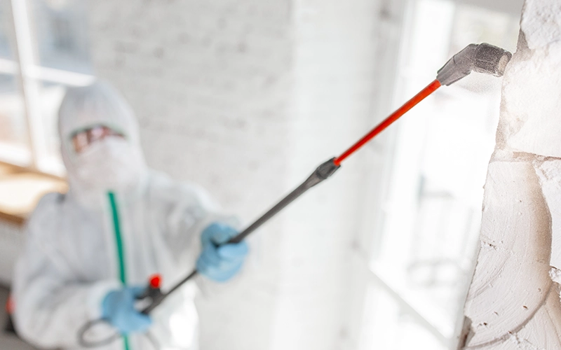  A disinfectant in a protective suit and mask sprays disinfectants in the room