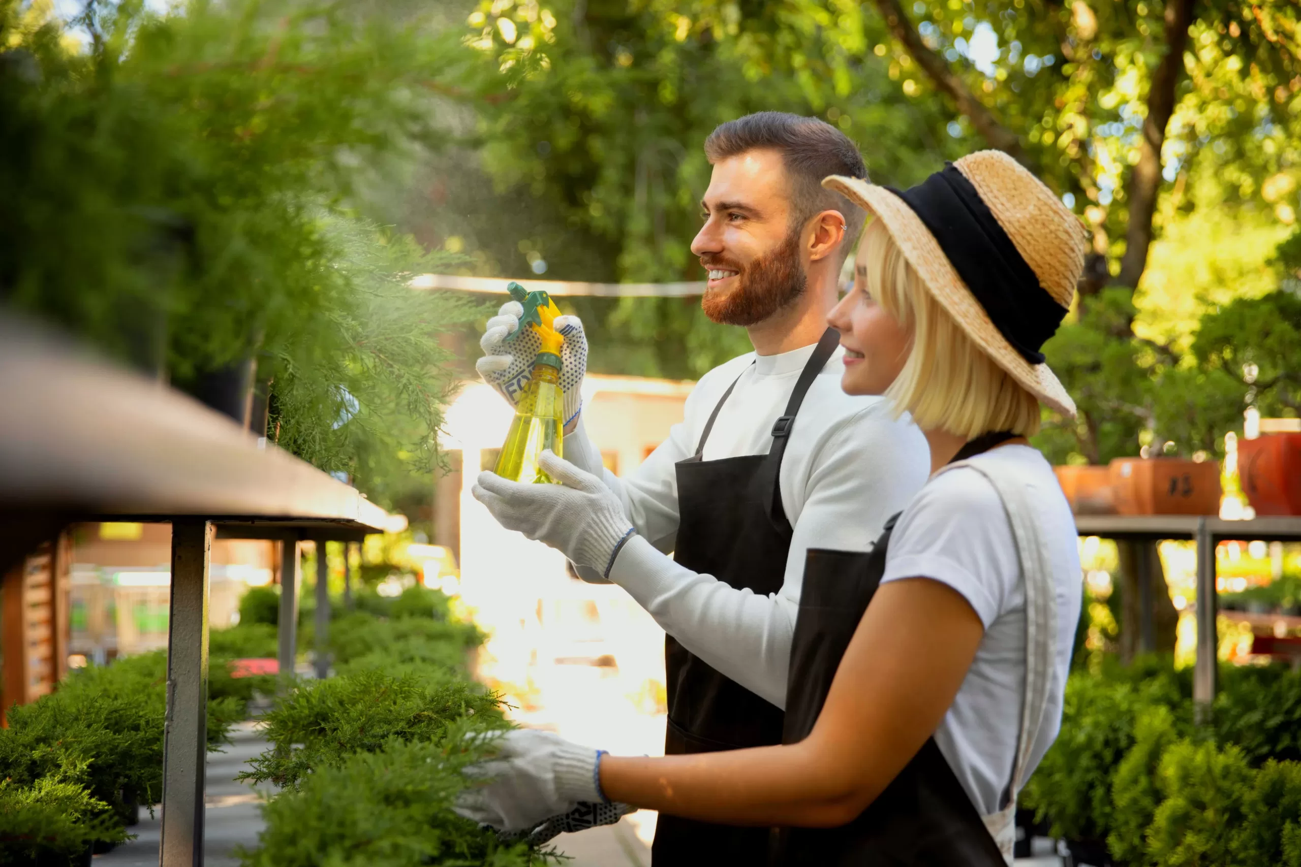 Two people in aprons and gloves, spraying plants in an outdoor garden.