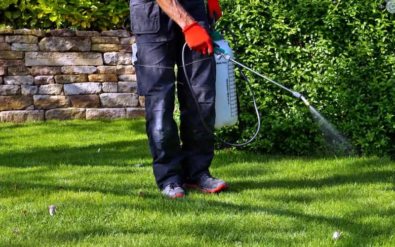 Granular vs Liquid Treatments