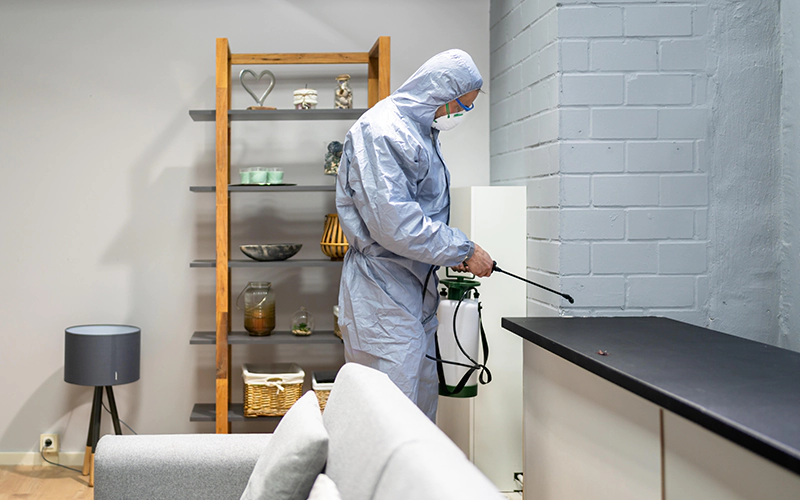 A pest control exterminator in protective gear spraying pesticide in a modern living room to treat termite infestation.