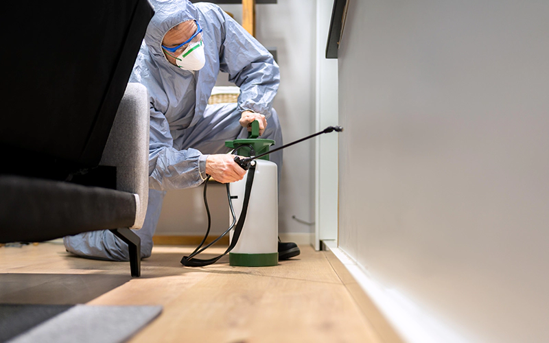 Exterminator-Man-Spraying-Termite-Pesticidee.