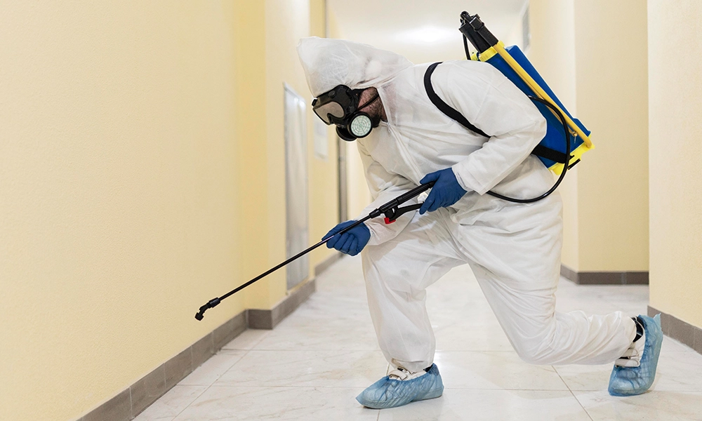 Person in protective suit with sprayer treating corridor for pests.