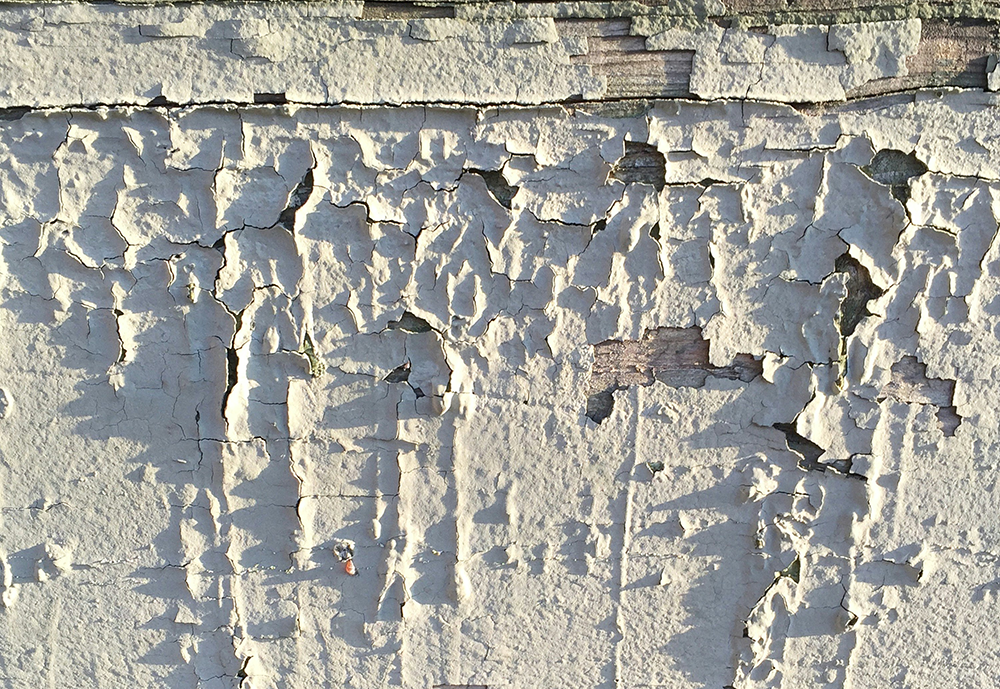 early signs of pest infestations