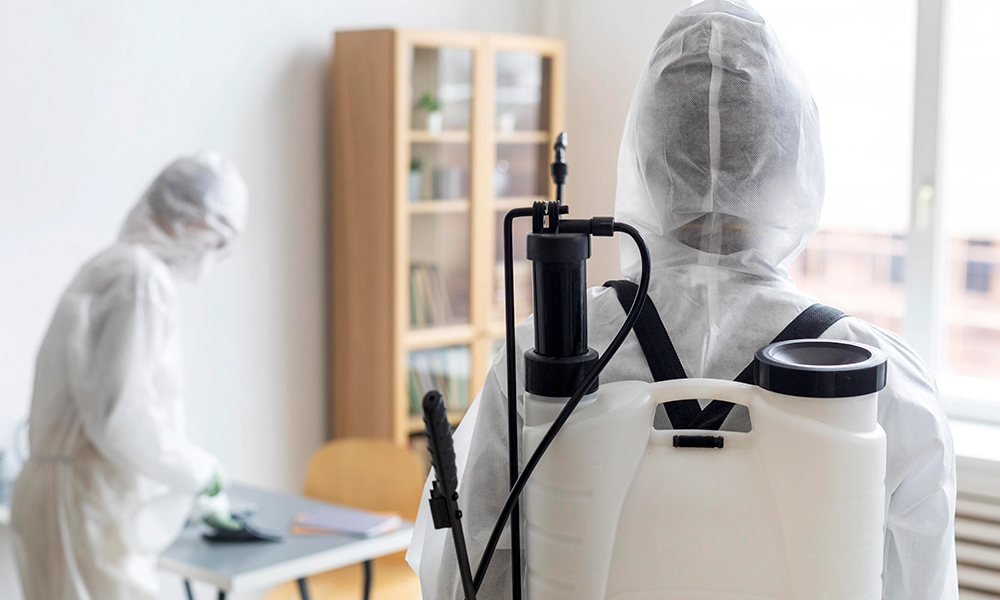 Two pest control technicians wearing full protective gear, one with a sprayer on their back, disinfecting a room.