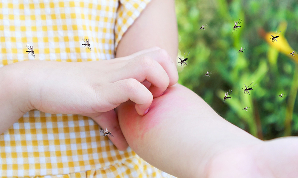 A person scratching a mosquito bite on their arm while several mosquitoes hover nearby.
