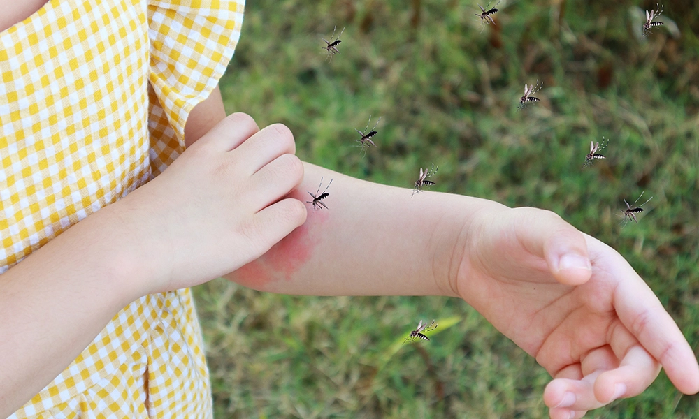A young child scratches a mosquito bite on their arm while several mosquitoes hover nearby, emphasizing the need for mosquito prevention and treatment