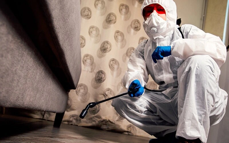 Prevention Stop Termites Before They Move In - An exterminator in work clothes sprays pesticides with a spray gun. Fight against insects in apartments and houses