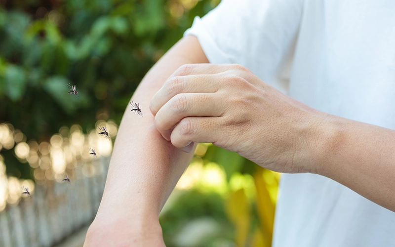 A person scratching their arm while surrounded by mosquitoes, showing an active mosquito infestation outdoors, illustrating the discomfort caused by mosquito bites.