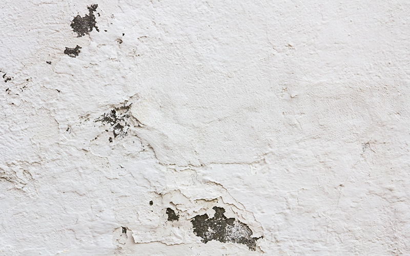 A close-up view of a wall with peeling paint and cracks, showing potential signs of termite damage.