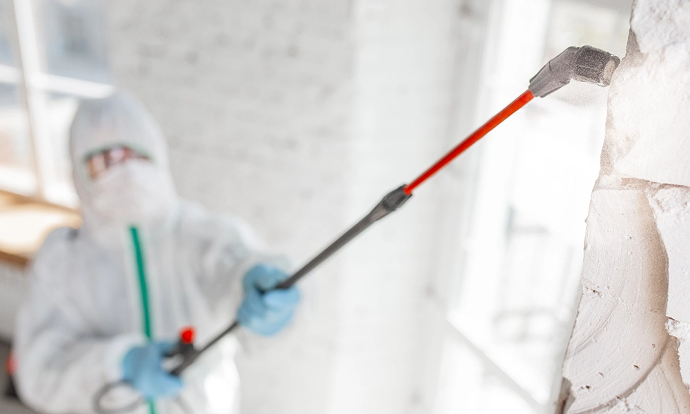 A person in a white protective suit and mask uses a sprayer to apply pesticide to a wall inside a building, taking precautions for pest control.