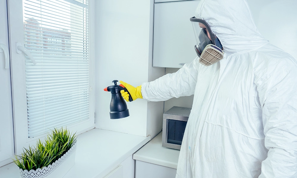 A pest control technician in a full protective suit and mask uses a handheld sprayer to treat an indoor surface near a kitchen window, ensuring a safe and pest-free environment.