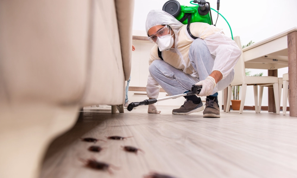 A pest control professional in protective gear using advanced methods to handle some of the smartest insects in the USA, such as cockroaches, known for their adaptability and problem-solving abilities. The image highlights pest management strategies for these clever insects in a home environment.